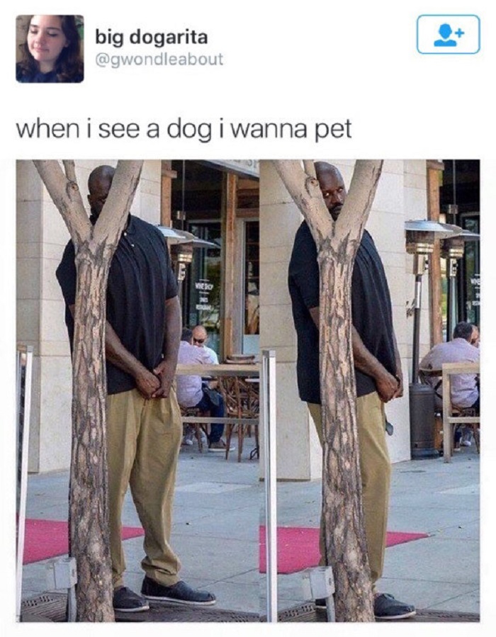 Image Credit: Buzzfeed