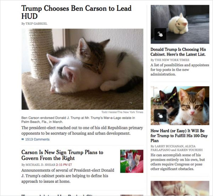 trump-chrome-extension-make-america-kittens-again-6