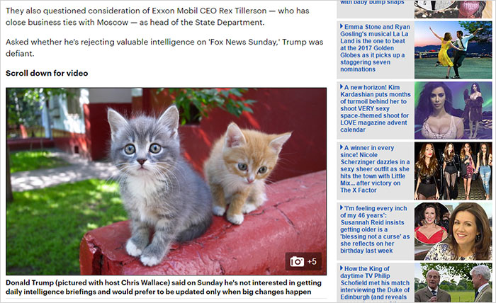 trump-chrome-extension-make-america-kittens-again-8-1