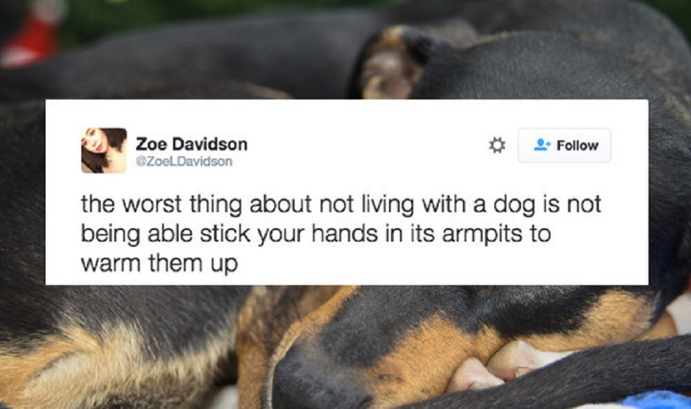 Image Credit: BuzzFeed