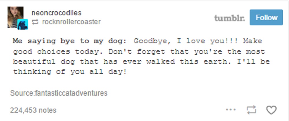 Image Credit: BuzzFeed