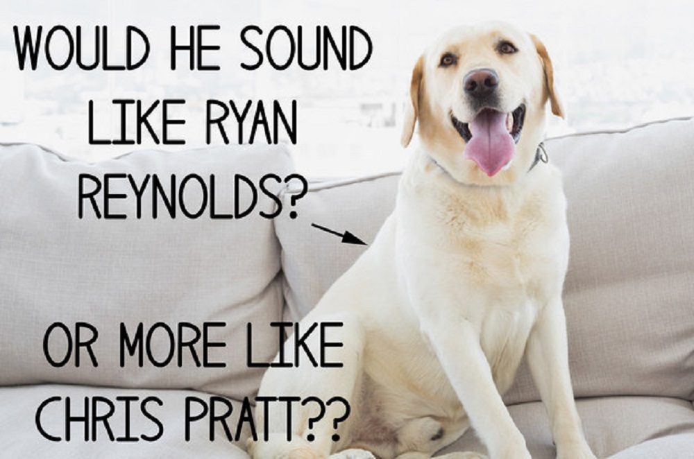 Image Credit: BuzzFeed