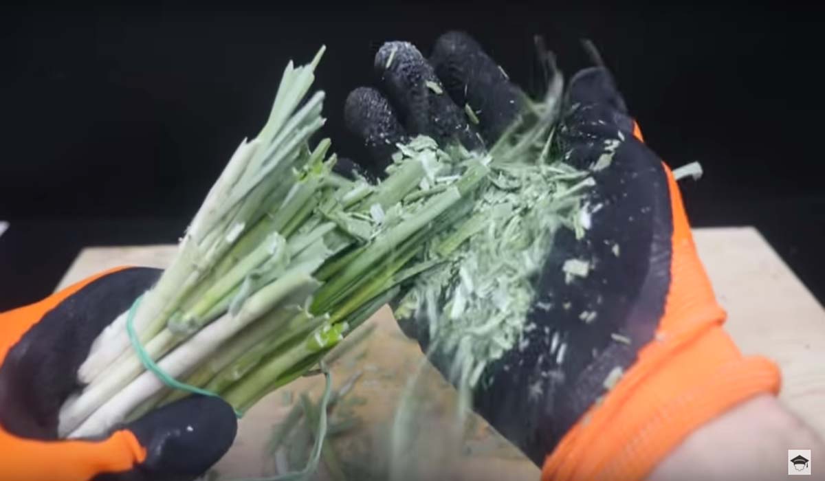 Image Credit: youtube.com