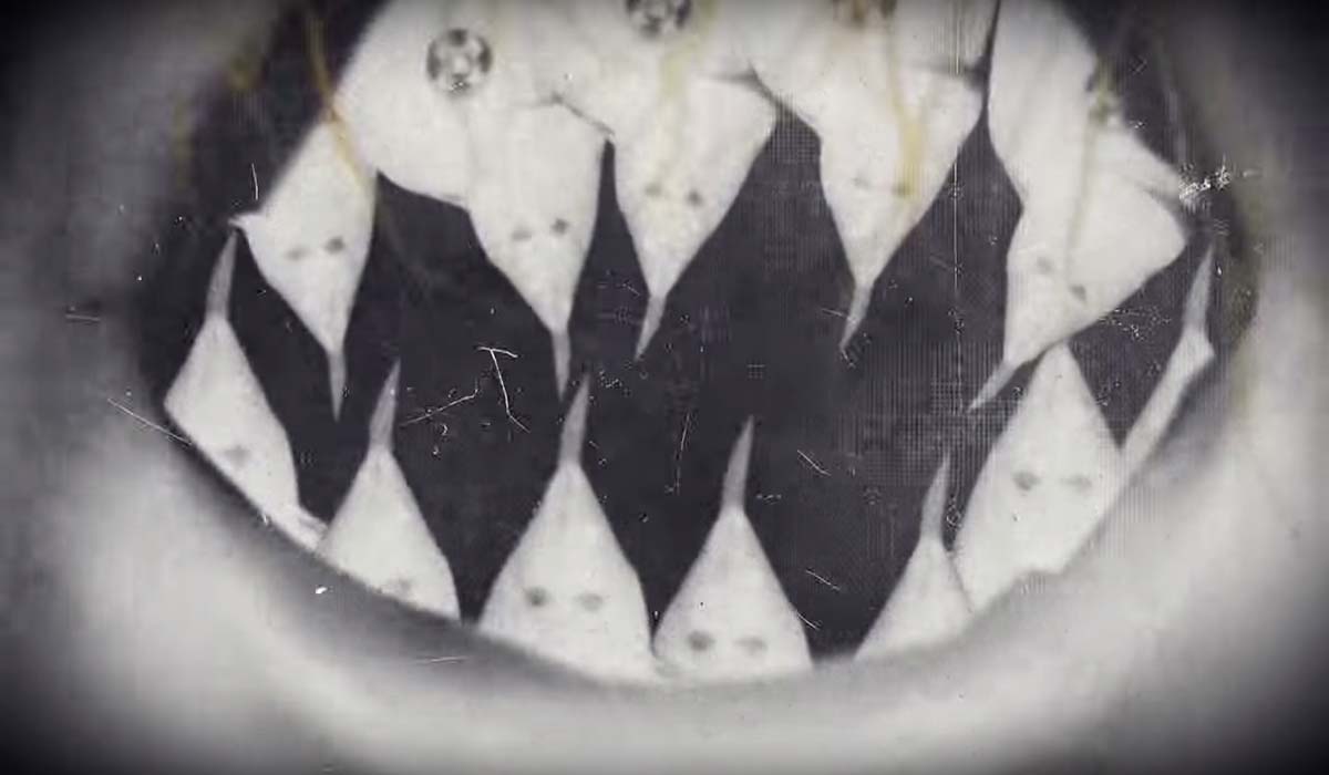 Image Credit: youtube.com