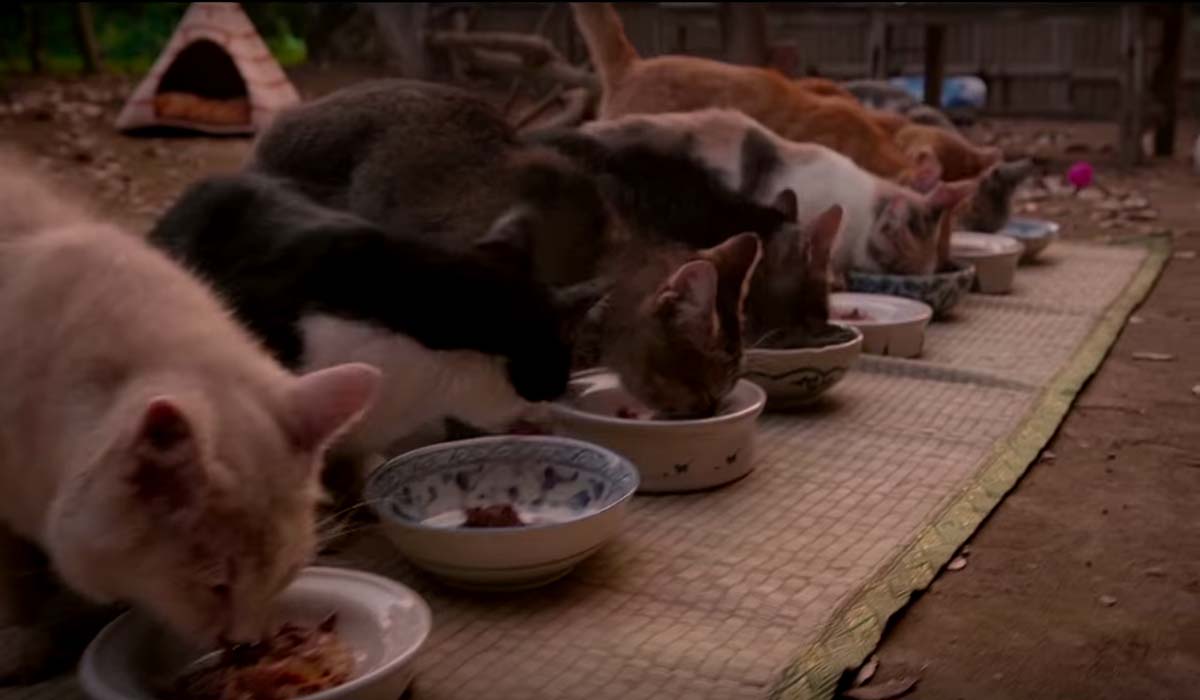 Image Credit: youtube.com