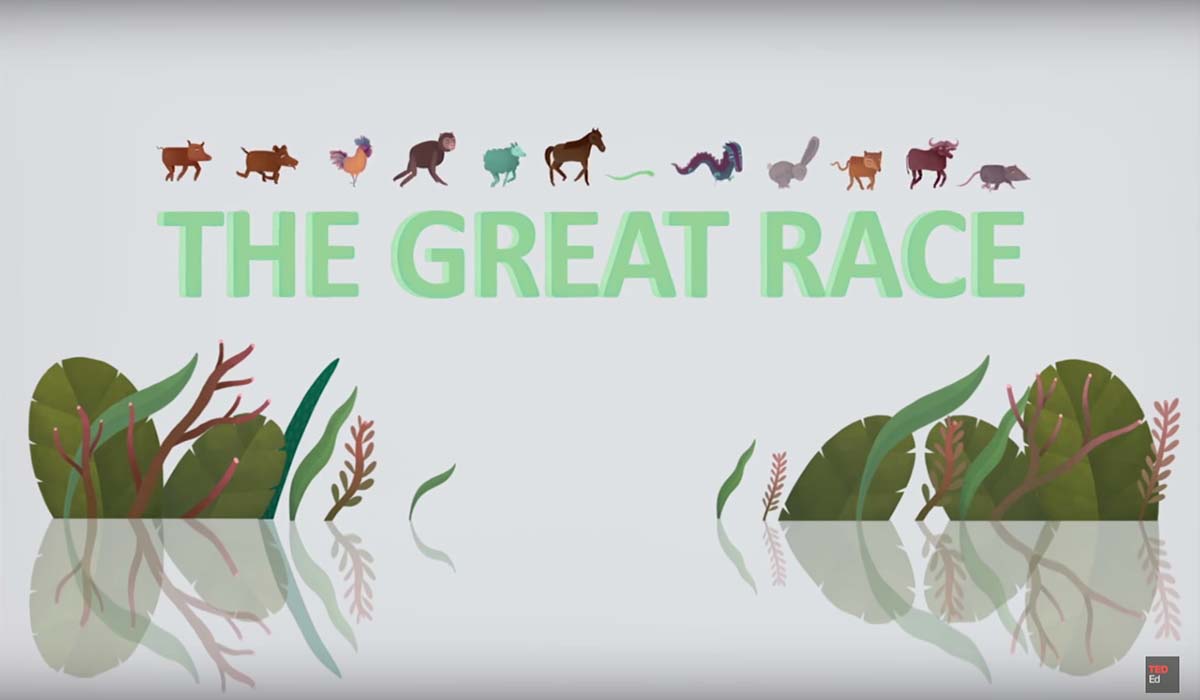 Image Credit: youtube.com