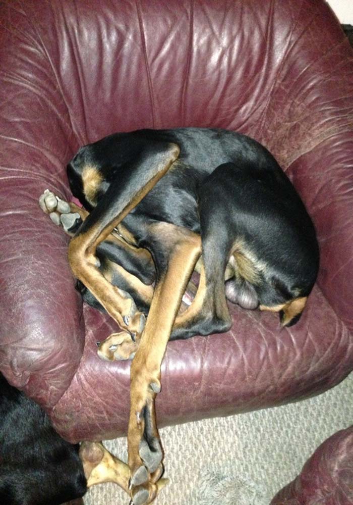 Image Credit: imgur.com / Via reddit.com
