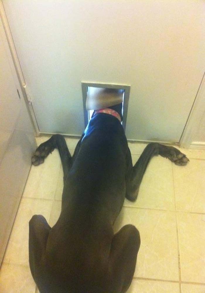 Image Credit: imgur.com / Via reddit.com
