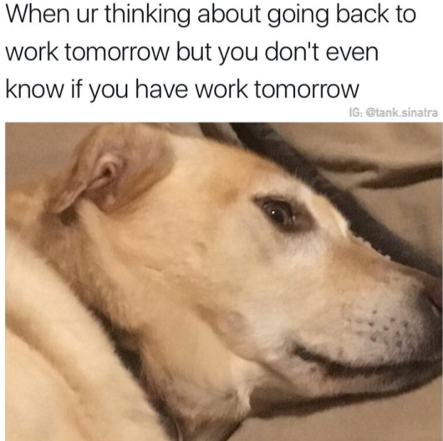 meme
