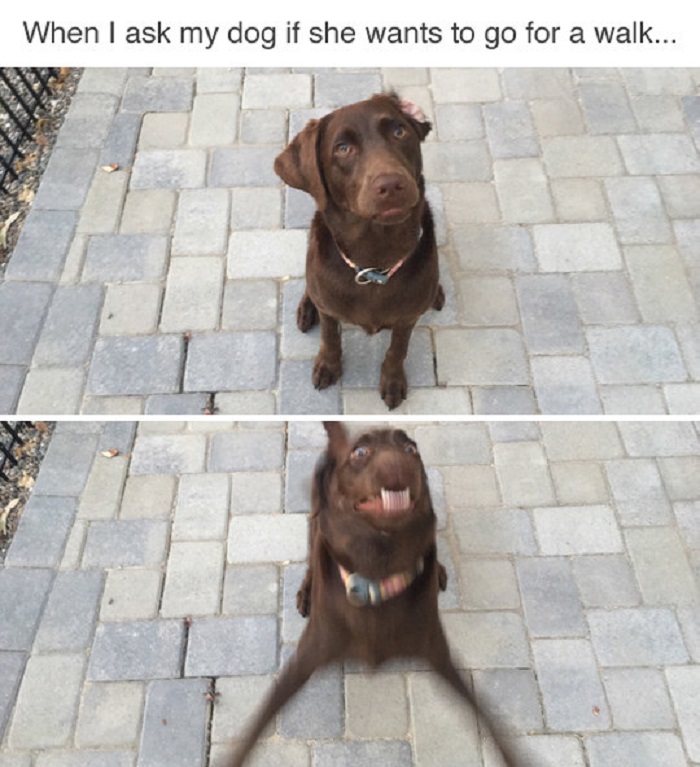Image Credit: BuzzFeed