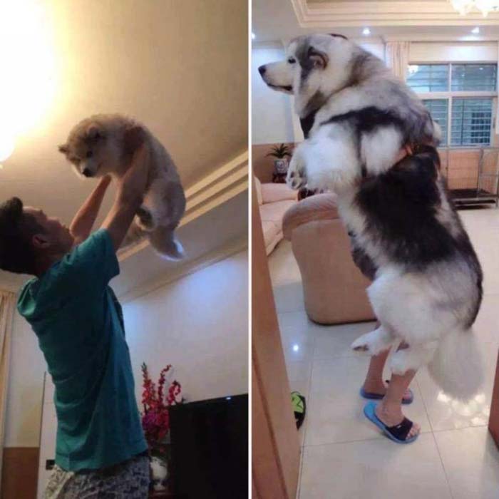 Image Credit: reddit.com