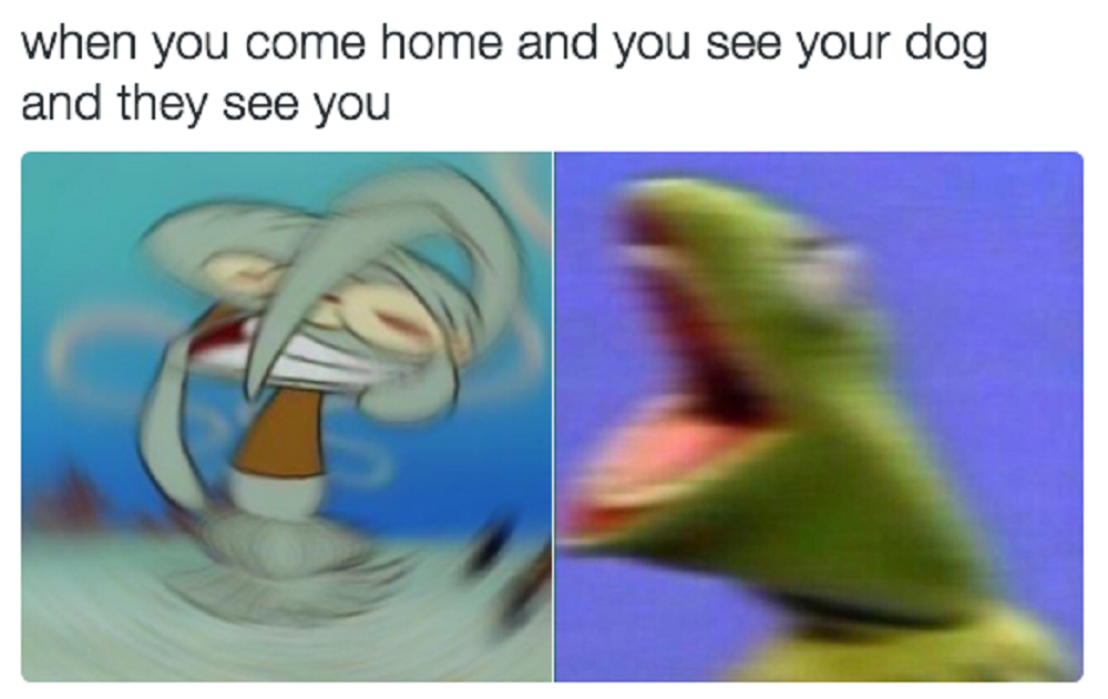 Image Credit: BuzzFeed