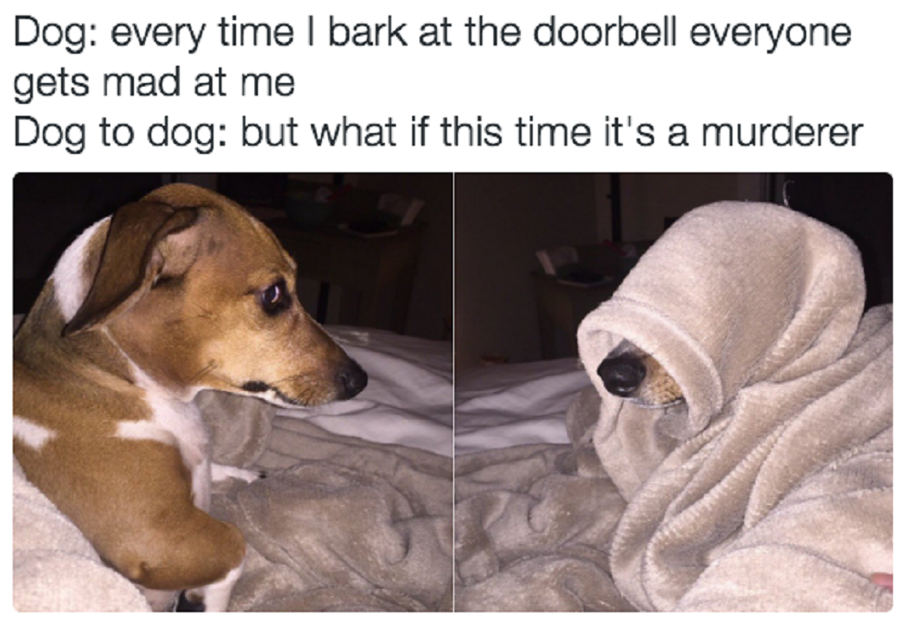 Image Credit: BuzzFeed