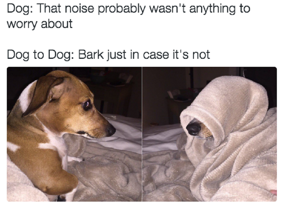 Image Credit: BuzzFeed