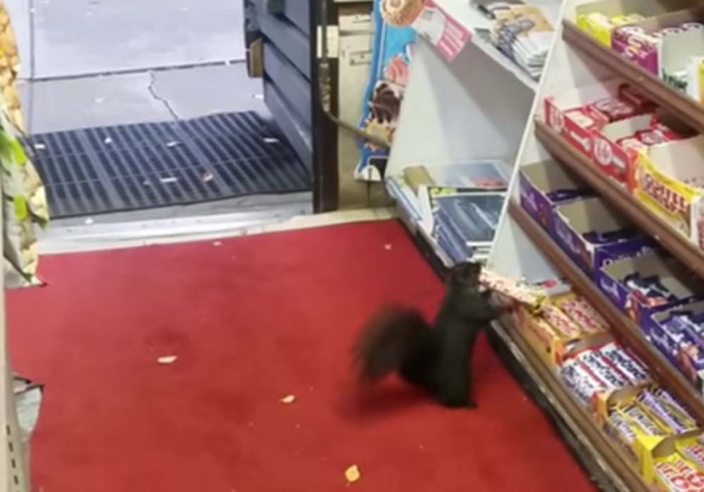 Image Credit: youtube.com