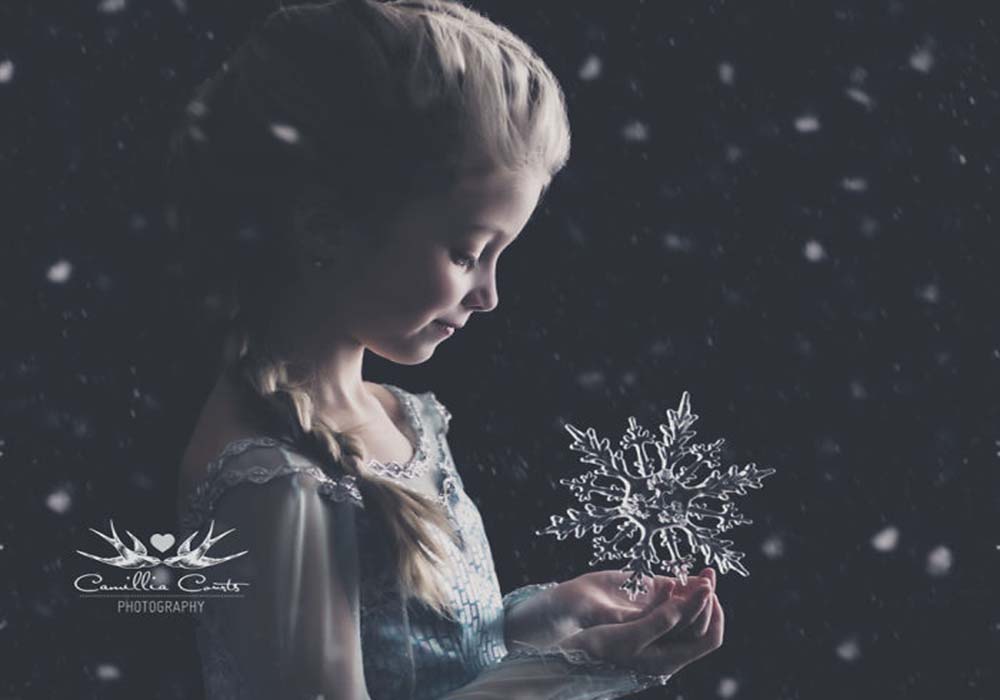 Image Credit: Camillia Courts