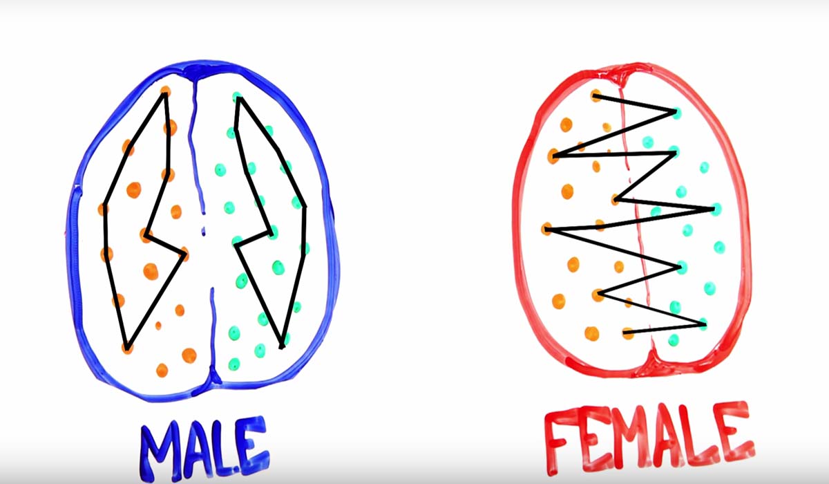 Image Credit: youtube.com