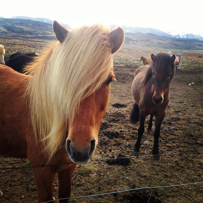 Image Credit: boredpanda.com