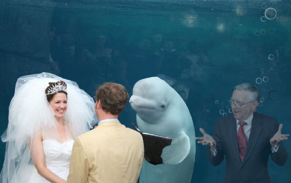 Image Credit: Reddit