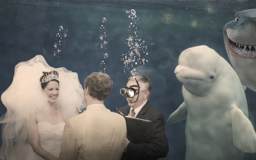 Image Credit: Reddit