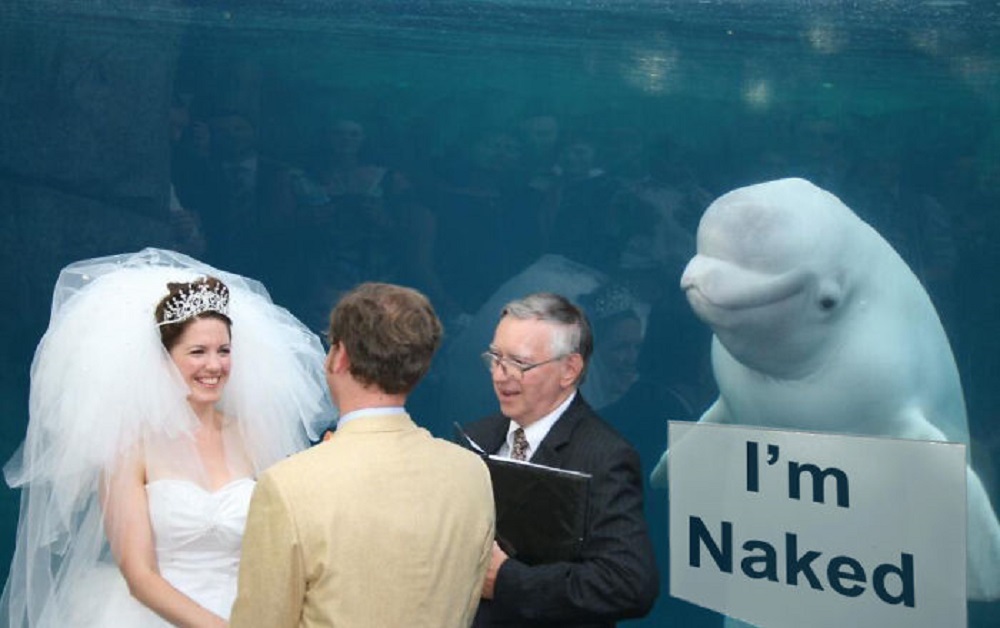 Image Credit: Reddit