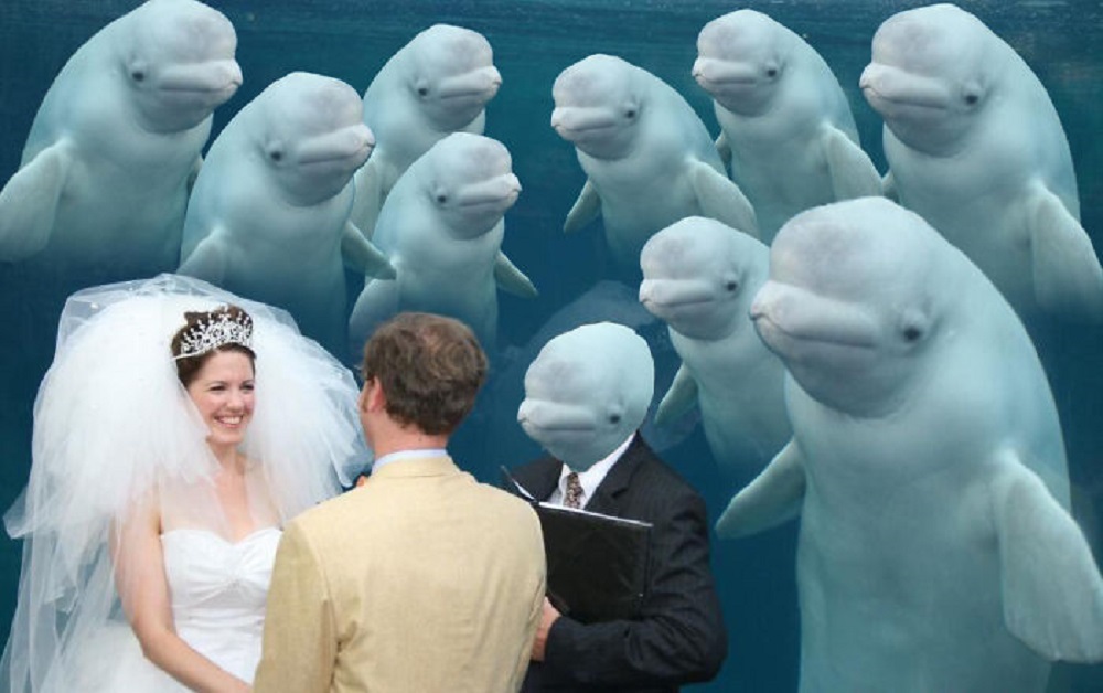 Image Credit: Reddit