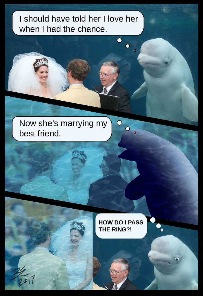 Image Credit: Reddit