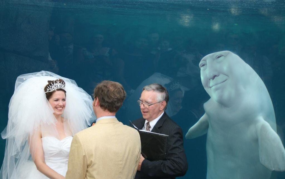 Image Credit: Reddit
