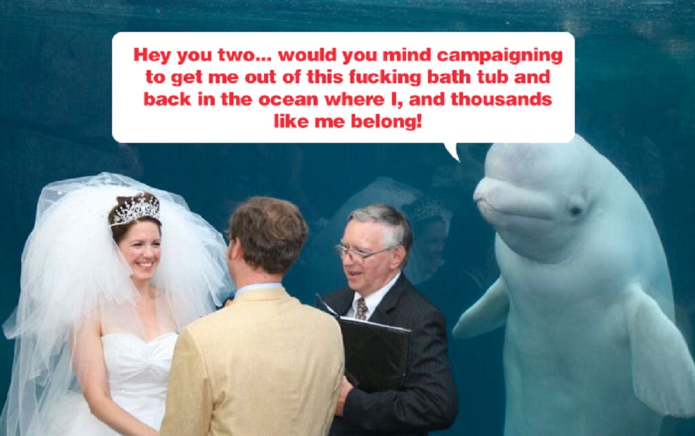Image Credit: Reddit