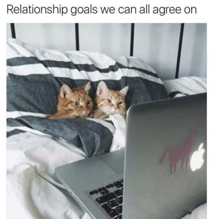 Image Credit: Buzzfeed.com