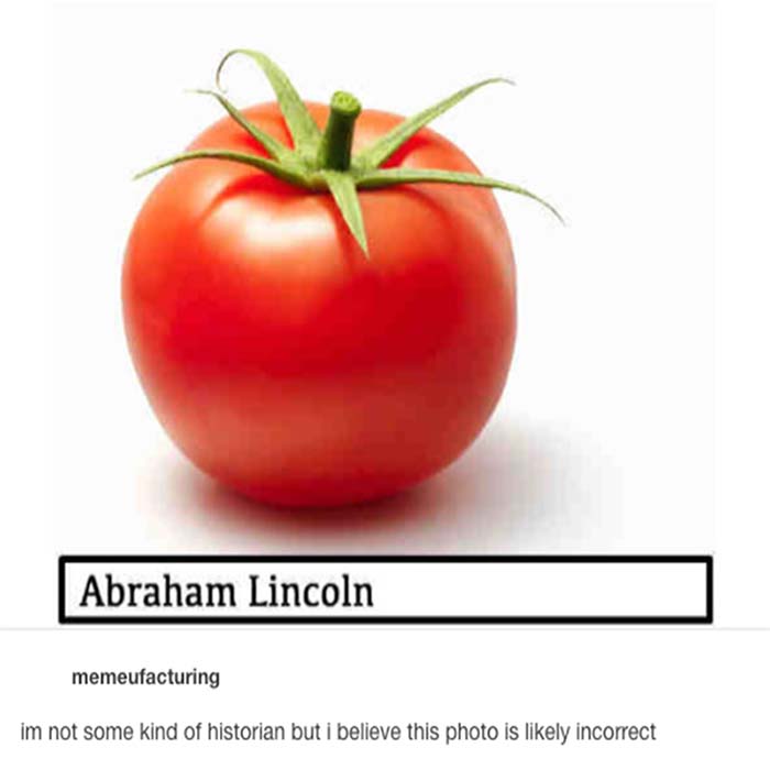 Image Credit: memeufacturing.tumblr.com