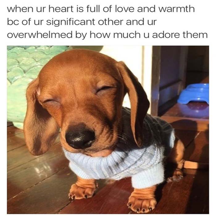 Image Credit: Buzzfeed.com