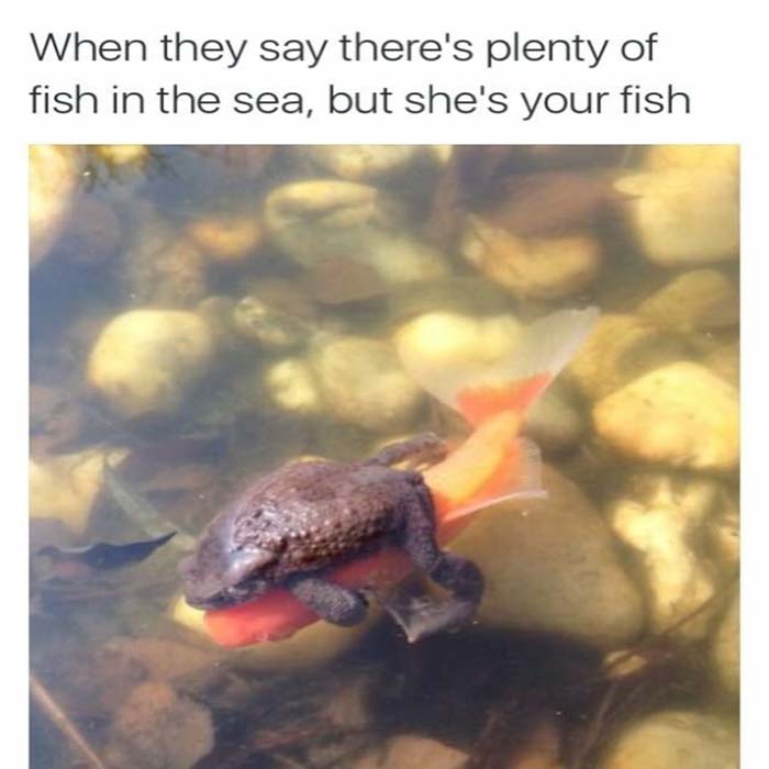 Image Credit: Buzzfeed.com