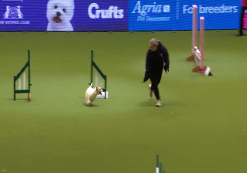 Image Credit: youtube.com