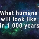 humans in 1,000 years