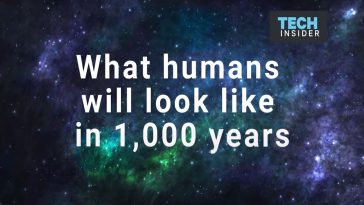humans in 1,000 years