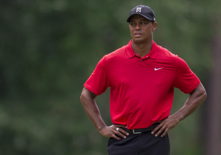 tiger woods