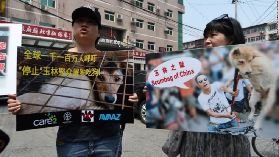 yulin