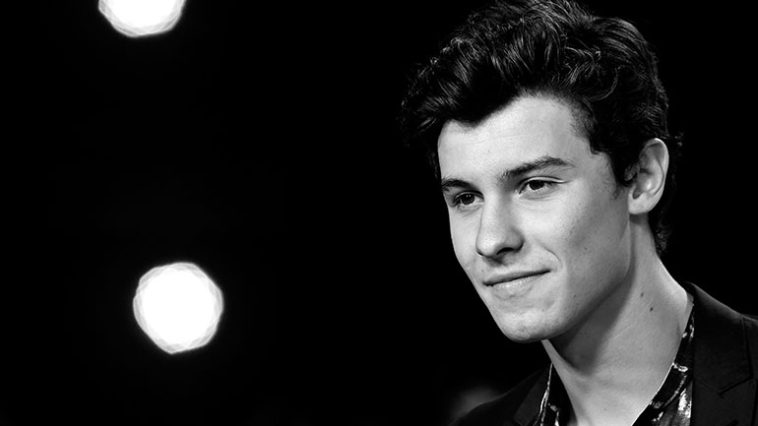 shawn mendes