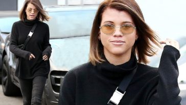 *EXCLUSIVE* Sofia Richie goes back to her Brunette Hair