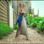 peter rabbit