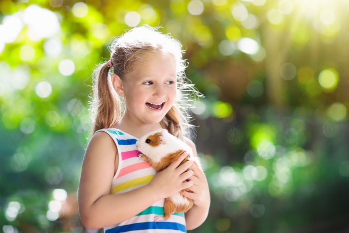 Happy Kid Holding Guinea Pig