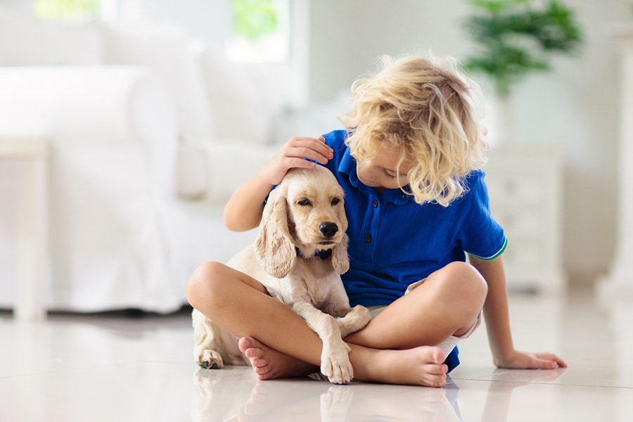 Teaching your kids proper pet care