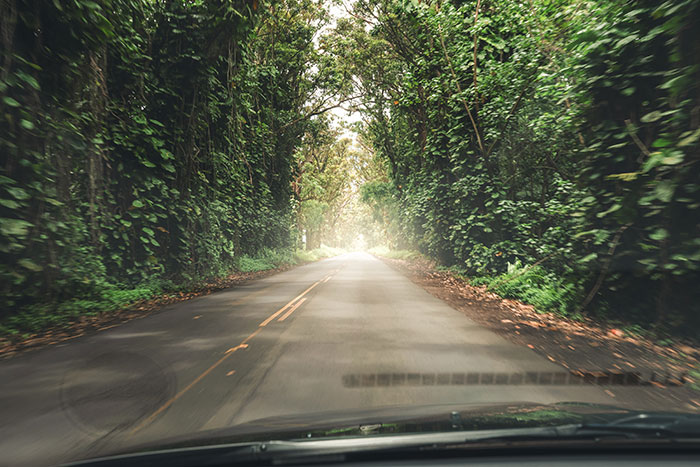 What to Do When Involved in an Accident in Hawaii