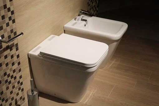 What You Should Know About an Electronic Bidet before Getting One