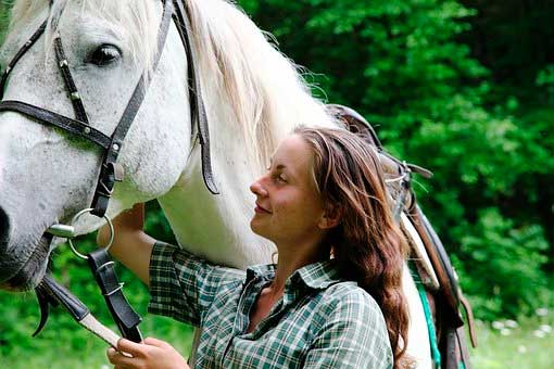 How to Take a Great Care of Your Horses