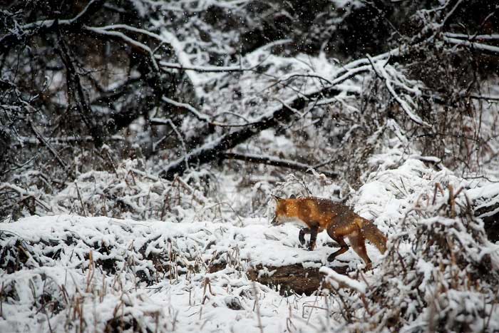 How to Easily Find Everything You Need for Hunting