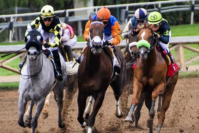 Can Lostintranslation Emerge from the Background to Win the Gold Cup?