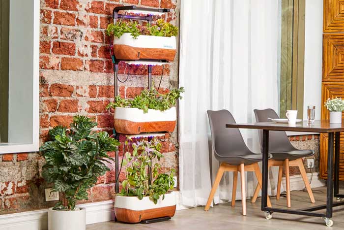 How to Successfully Set Up An Indoor Garden