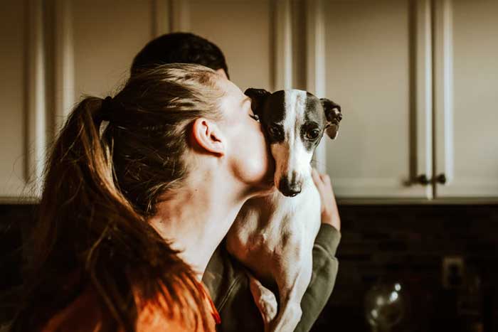 Pet's Health: Everything That You Need To Know To Keep Your Beloved Dog Healthy